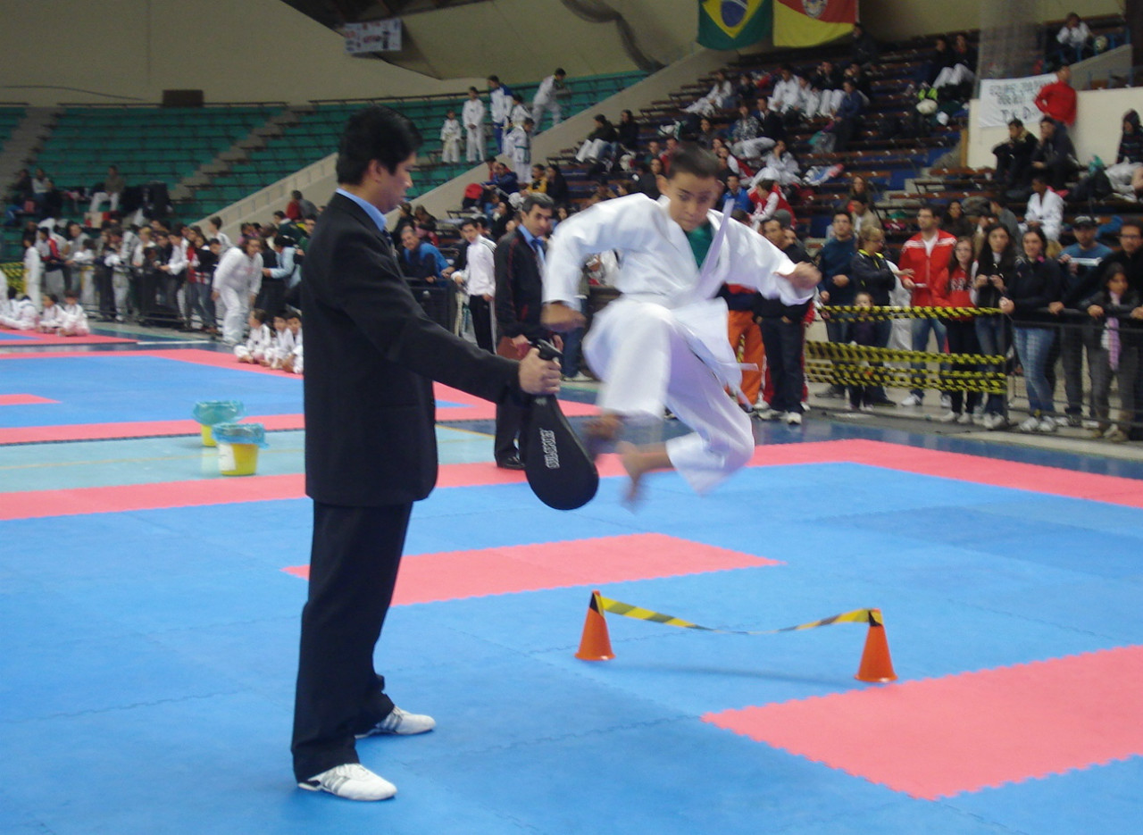 XVII Brazil Open de Taekwondo :: ************AOPTKD - TAEKWONDO ...